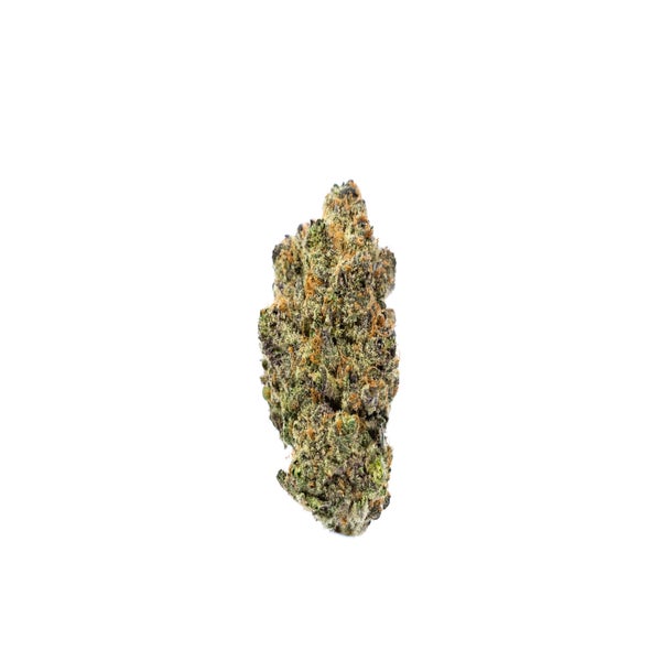 JELLYBREATH-1-min.jpg