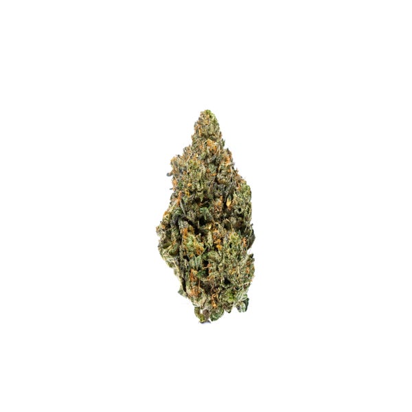 SENSISTAR-1-min.jpg