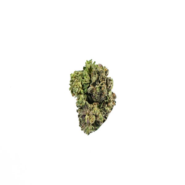 BLACKTUNA-1-min.jpg