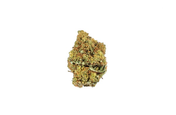 LEMONKUSH-1-min.jpg LEMONKUSH-1-min.jpg