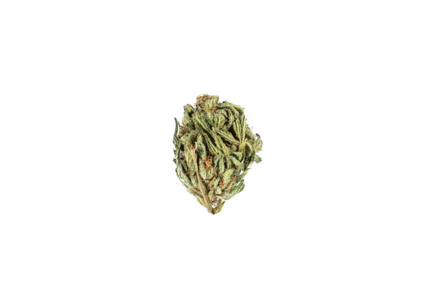 JF-1-min.jpg JF-1-min.jpg