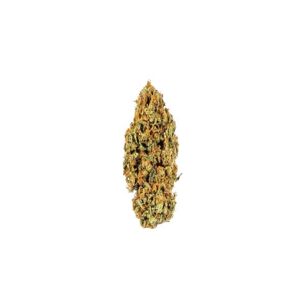 REDCONGO-1-min-2.jpg