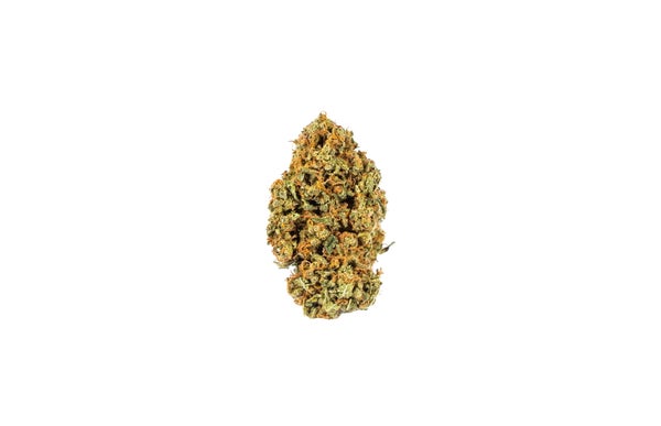 REDCONGO-1-min-2.jpg REDCONGO-1-min-2.jpg