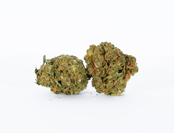 Scout-Master-1.png Scout-Master-1.png