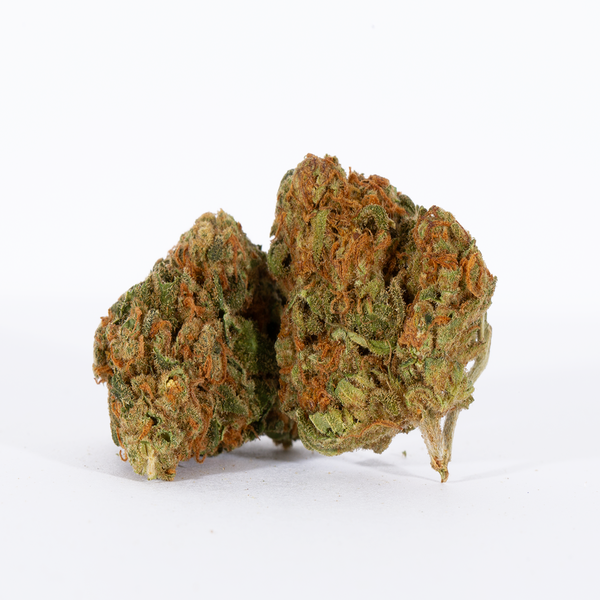 Chocolope-1.png