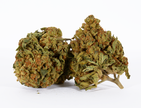 Georgia-Pine-1-1.png Georgia-Pine-1-1.png