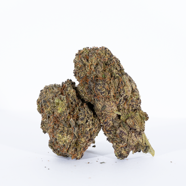 White-Truffle-1.png
