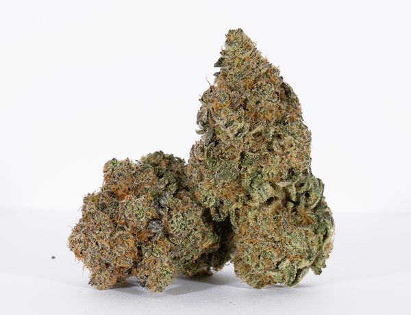 Ghost-Pebbles-1.png Ghost-Pebbles-1.png