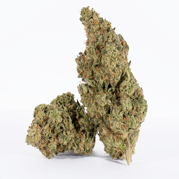 Pink-X-Green-Crack-1.png