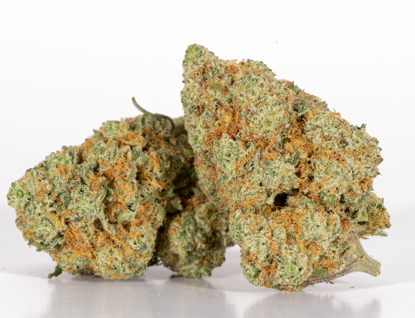 Animal-Cookies-2.png Animal-Cookies-2.png