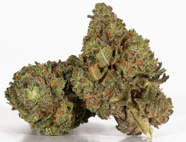 9lb-Hammer-2.png 9lb-Hammer-2.png