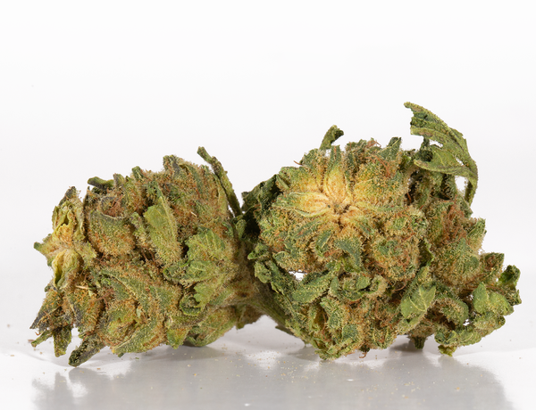 Acapulco-Gold-2.png Acapulco-Gold-2.png