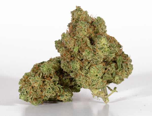 Afghan-Hawaiian-2-1.webp Afghan-Hawaiian-2-1.webp