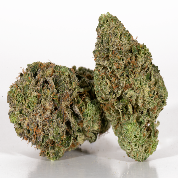 Afghani-2-1.webp