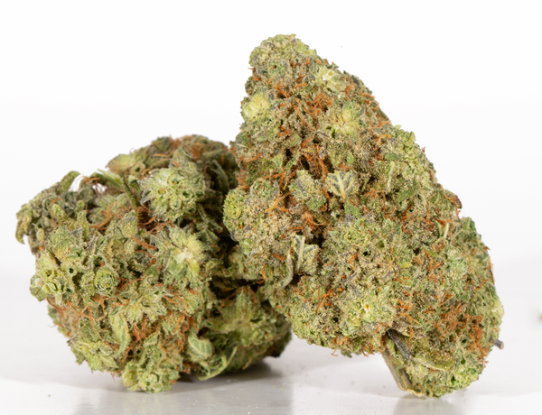 Amnsia-2.webp Amnsia-2.webp