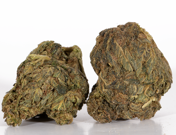 Big-Bud-2-4.png Big-Bud-2-4.png