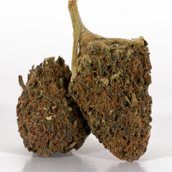 Bubblegum-Kush-2-1.webp