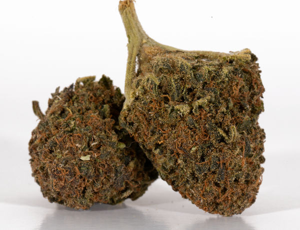 Bubblegum-Kush-2-1.webp Bubblegum-Kush-2-1.webp
