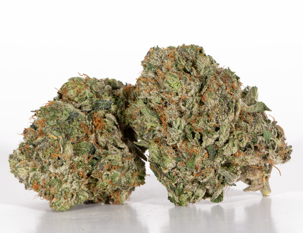 Dank-Sinatra-2-2.webp Dank-Sinatra-2-2.webp