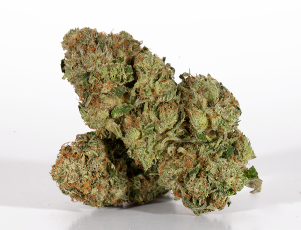 Gas-Monkey-2.png Gas-Monkey-2.png