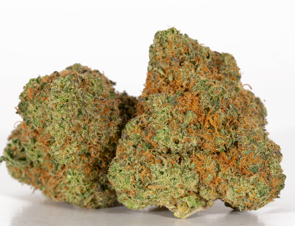 God_s-Gift-2.png God_s-Gift-2.png