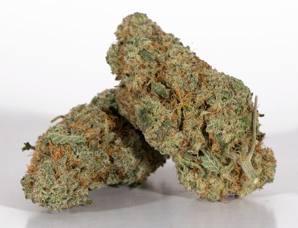 Gorilla-Bomb-2-2.png Gorilla-Bomb-2-2.png