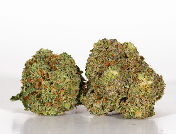 Scooby-Snacks-2.png Scooby-Snacks-2.png