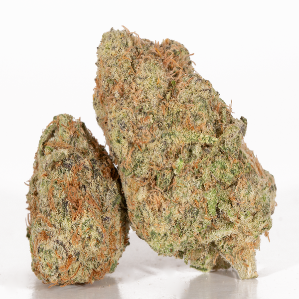 Slurricane-2-1.webp