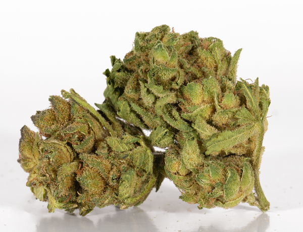 Trainwreck-2.png Trainwreck-2.png