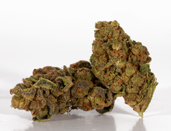 Zeus-OG-2.png Zeus-OG-2.png