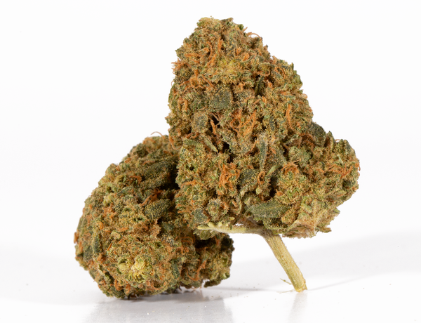 Death-Bubba-2-1-a.png Death-Bubba-2-1-a.png