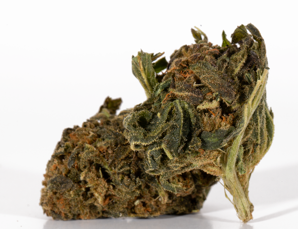 Jean-Guy-2-1-a.png Jean-Guy-2-1-a.png