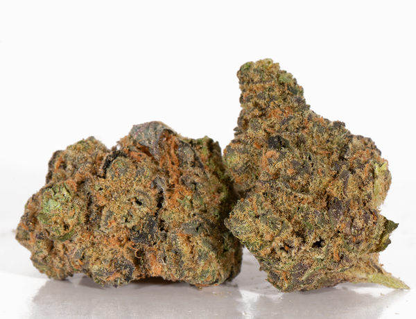 Jelly-Rancher-2-1.png Jelly-Rancher-2-1.png