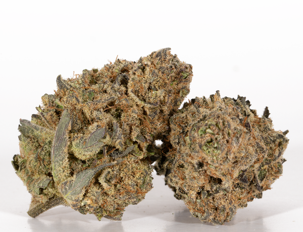 Pineapple-Poision-2.webp Pineapple-Poision-2.webp