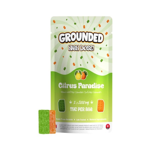 Pouches-With-Gummies_Bricks-Citrus-Paradise-scaled-1-800x800-1.jpg