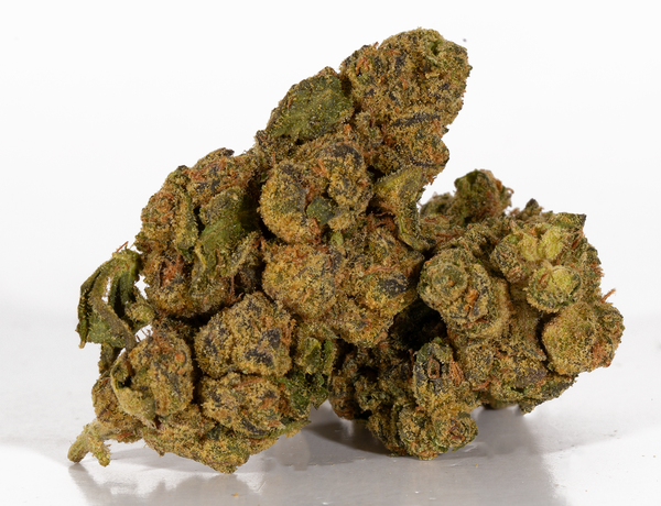 Sour-Tangie-2-a.png Sour-Tangie-2-a.png