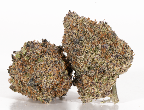 Weezy-2-1-a.png Weezy-2-1-a.png