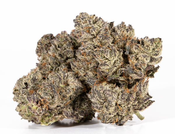 White-Truffle-2-1-a.png White-Truffle-2-1-a.png