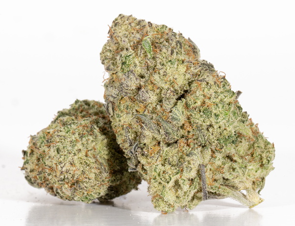 White-Widow-2.png White-Widow-2.png