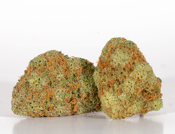 Zookies-1.webp Zookies-1.webp