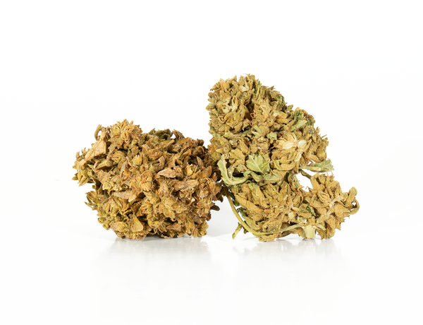 BC Roadkill 2a BC Roadkill 2a