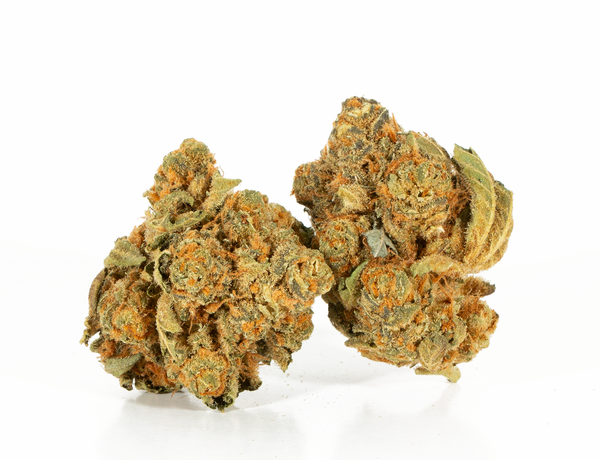 Chem I95 – 2 Chem I95 – 2