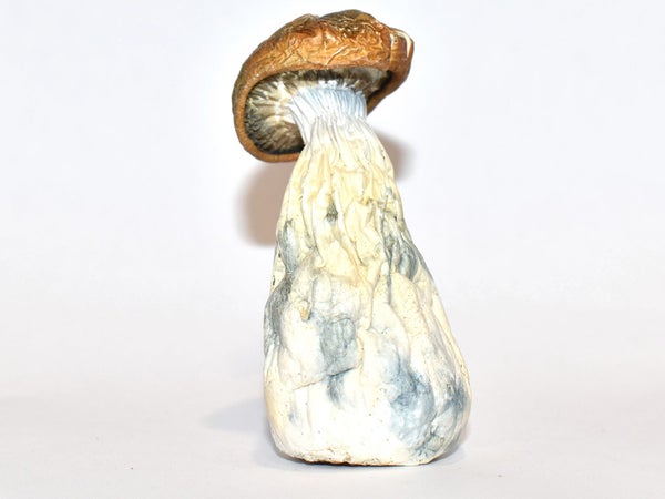 Code-Blue.jpg Code-Blue.jpg