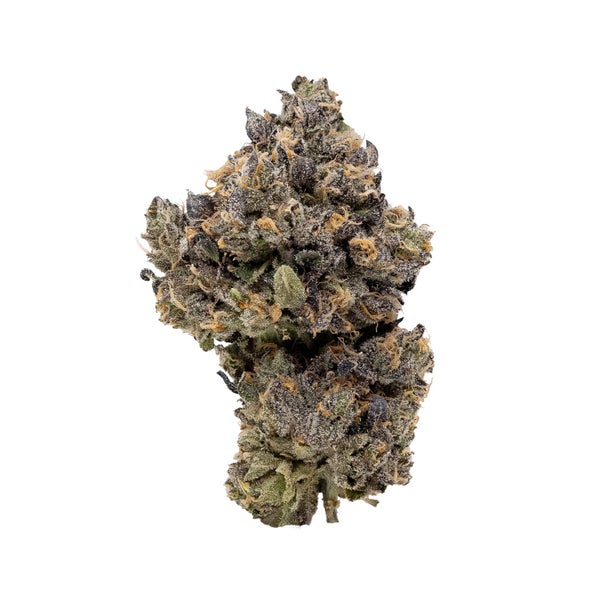 GasTruffles-03 GasTruffles-03