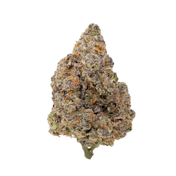 Gummiez-03 Gummiez-03