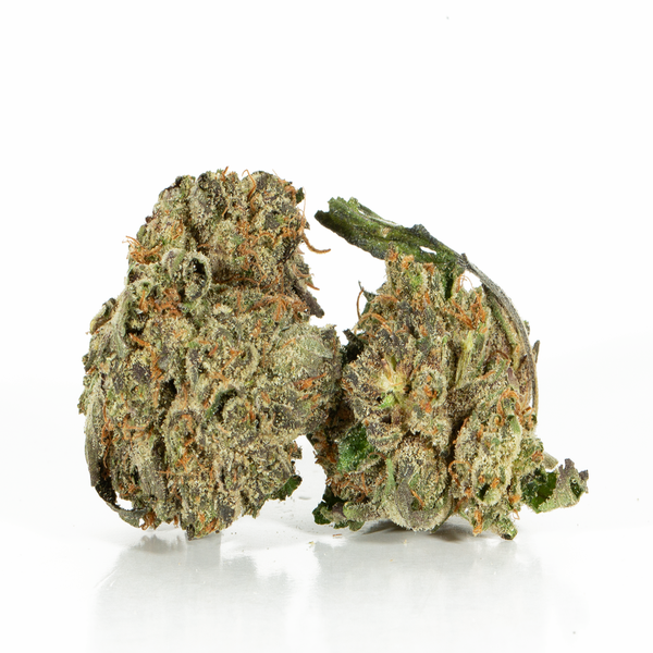 Khlifa Mints (smalls) 2