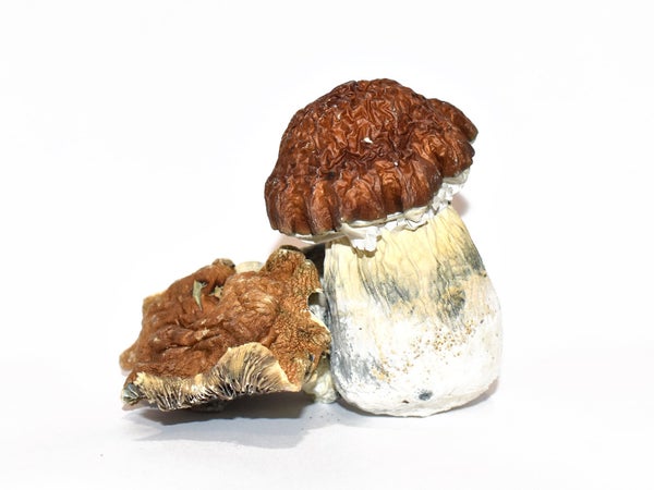 King-Kong.jpg King-Kong.jpg