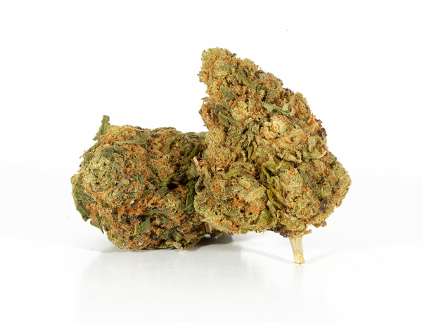 Lime Sorbet 2 Lime Sorbet 2