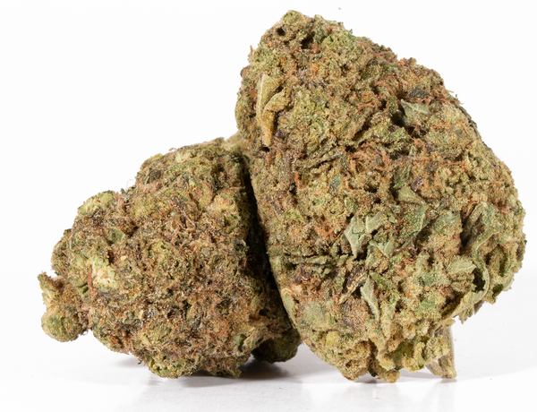 Moby-Dick-2-06.24.png Moby-Dick-2-06.24.png