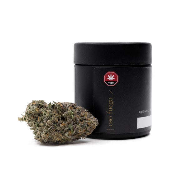 RainbowBelts2-OsoFuego-07